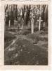 German War Cemeteries - Russia